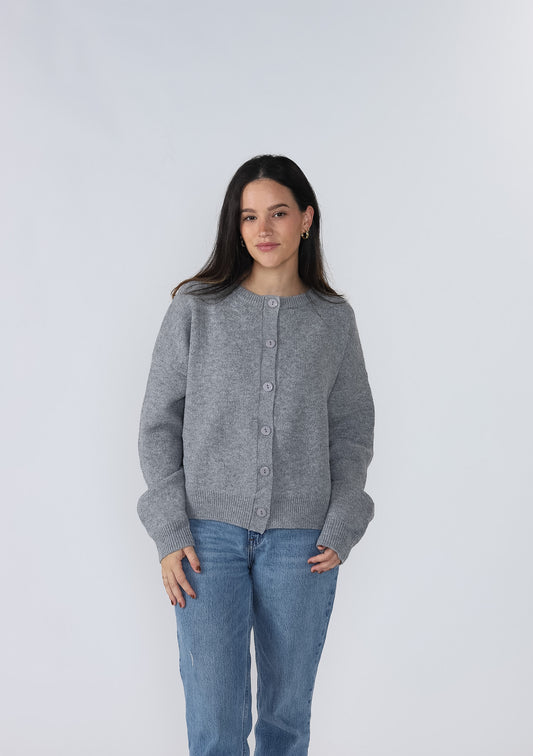 Things Between Hayes Soft Knit Buttoned Cardigan (Grey)