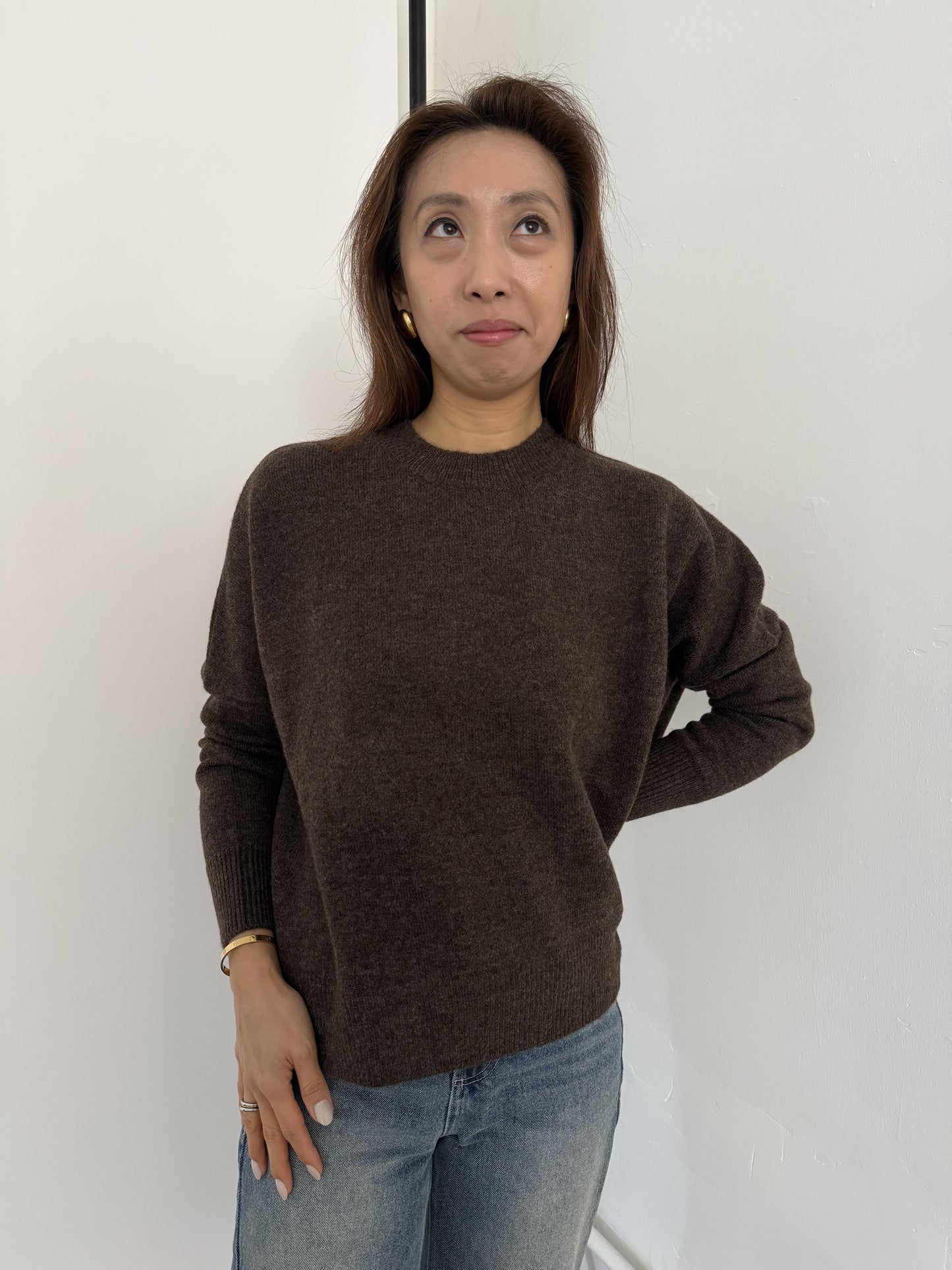 Perry Relaxed Pullover Knit Sweater (Brown)