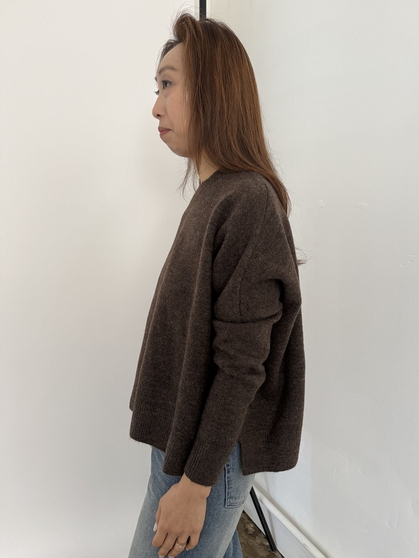 Perry Relaxed Pullover Knit Sweater (Brown)