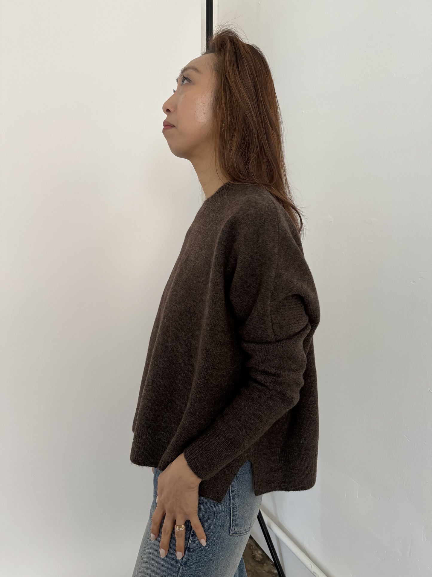 Perry Relaxed Pullover Knit Sweater (Brown)