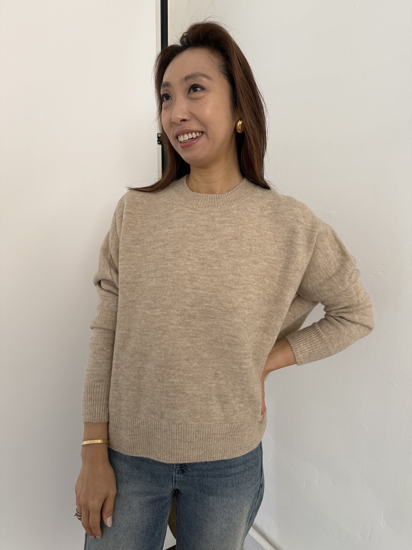 Perry Relaxed Pullover Knit Sweater (Beige)