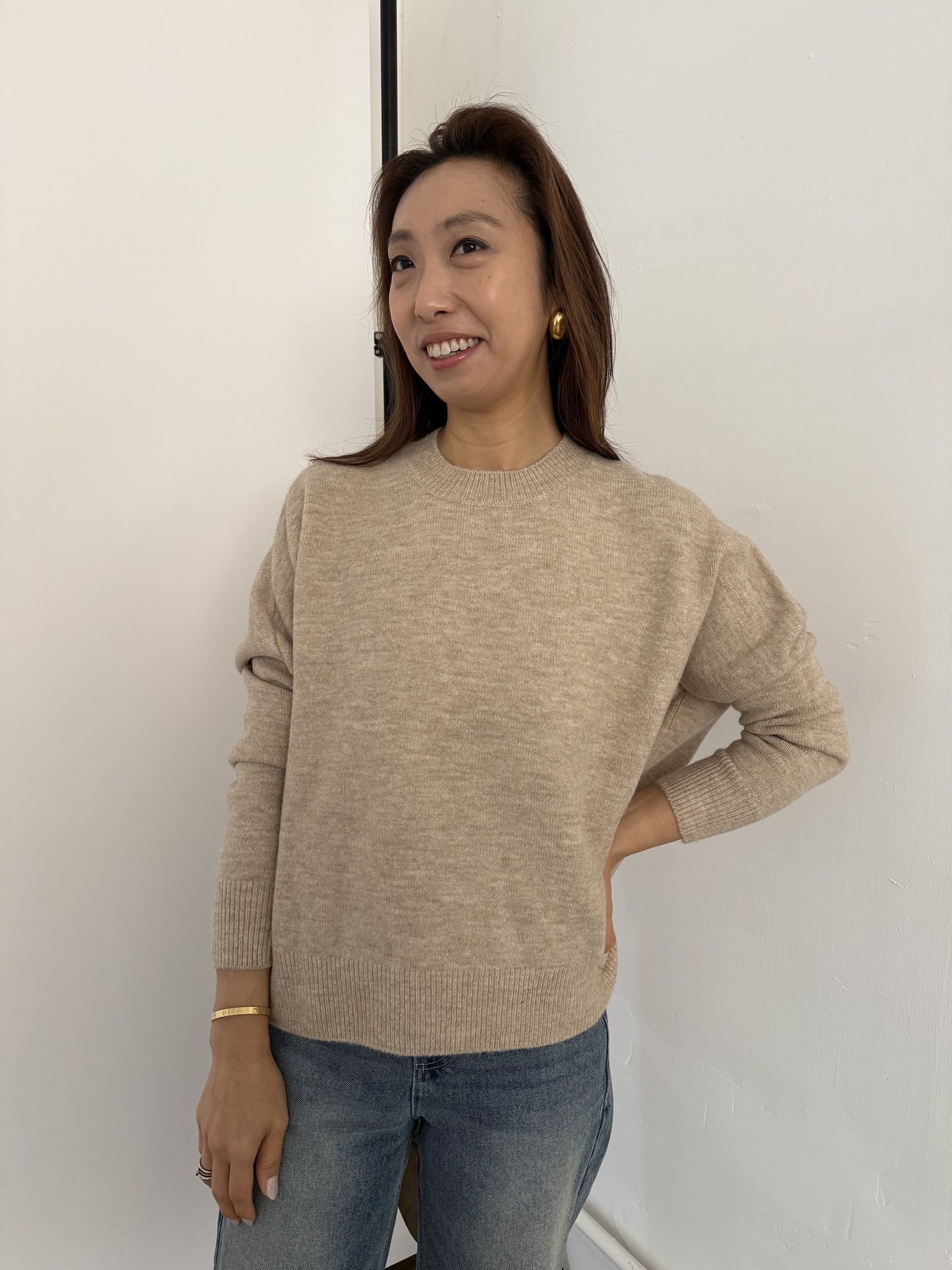 Perry Relaxed Pullover Knit Sweater (Beige)