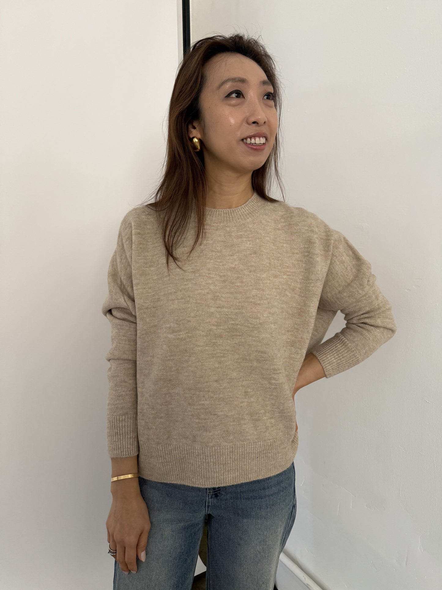 Perry Relaxed Pullover Knit Sweater (Beige)