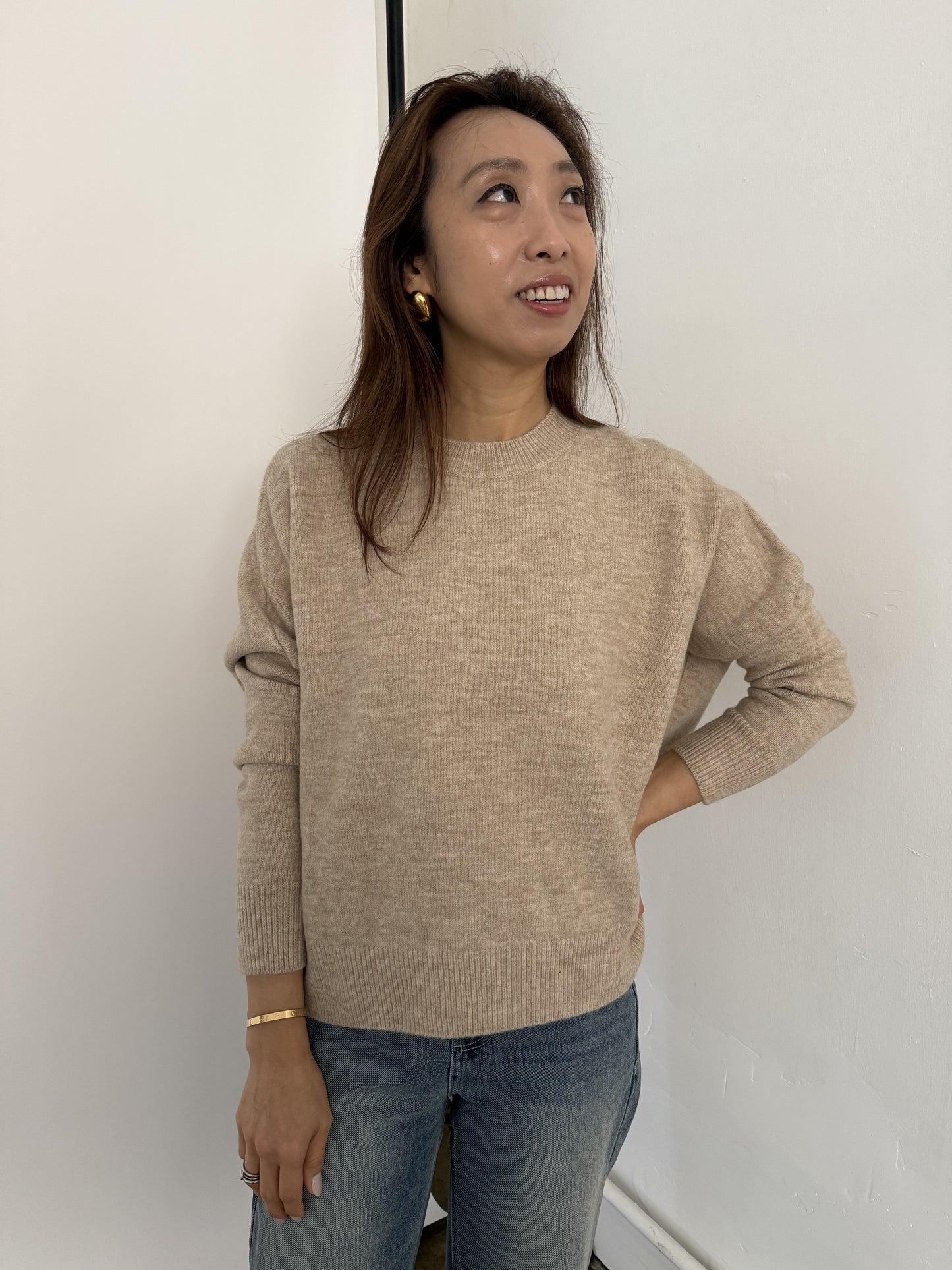 Perry Relaxed Pullover Knit Sweater (Beige)