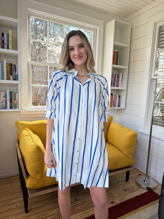 PINCH Whitney Blue Striped Button Mini Dress