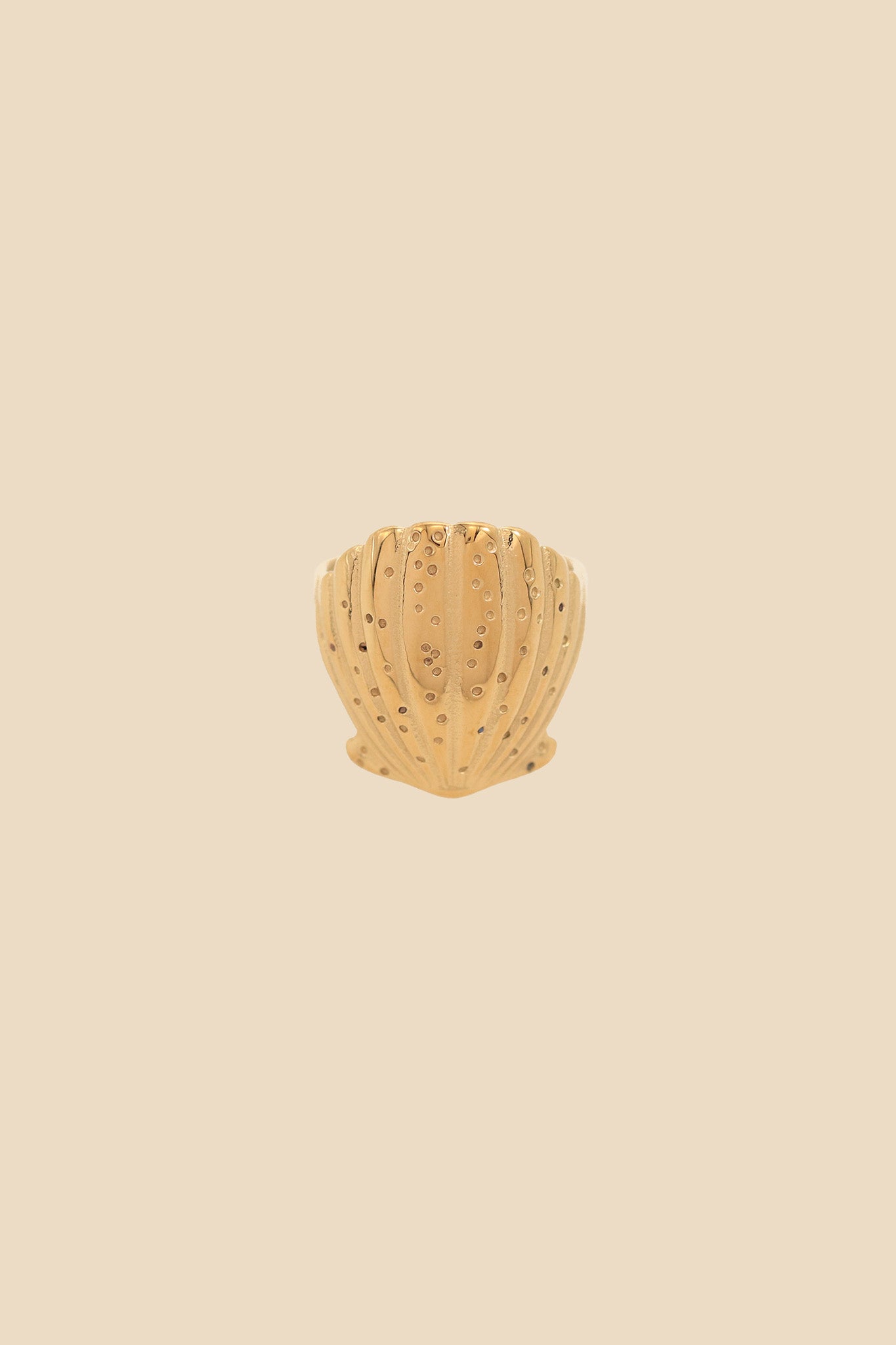 Petit Moments Zezere Gold Shell Ring